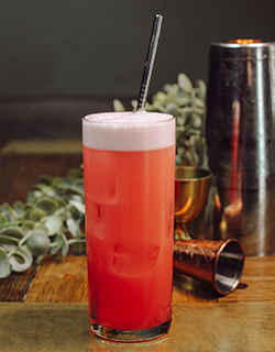Gin Fizz